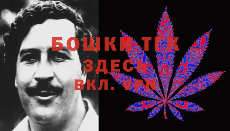 купить наркотики сайты  сайты даркнета клад  Каннабис Ganja  Мосальск 